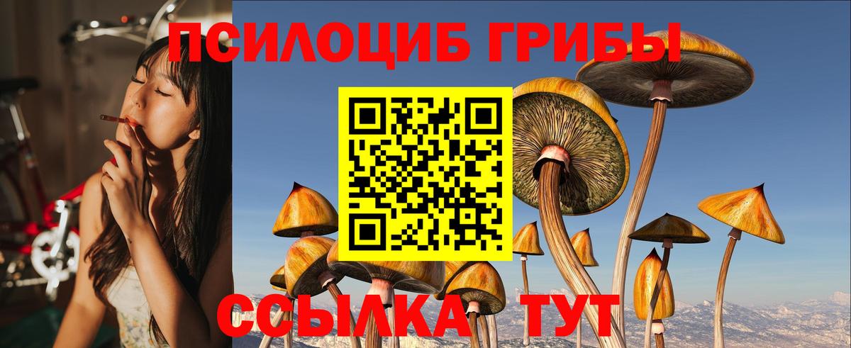 Донецк  Галлюциногенные грибы Magic Shrooms  Вход с VPN  Псилоцибиновые грибы ЛСД 