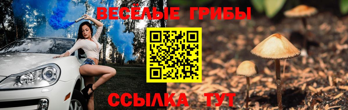 Галлюциногенные грибы Cubensis Донецк
